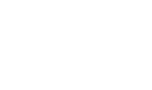 TIFF (Toronto International Film Festival) wordmark in bold lowercase letters