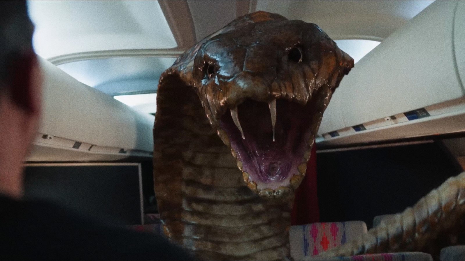 CGI cobra with jaws open wide inside an airplane cabin, towering over a passenger
