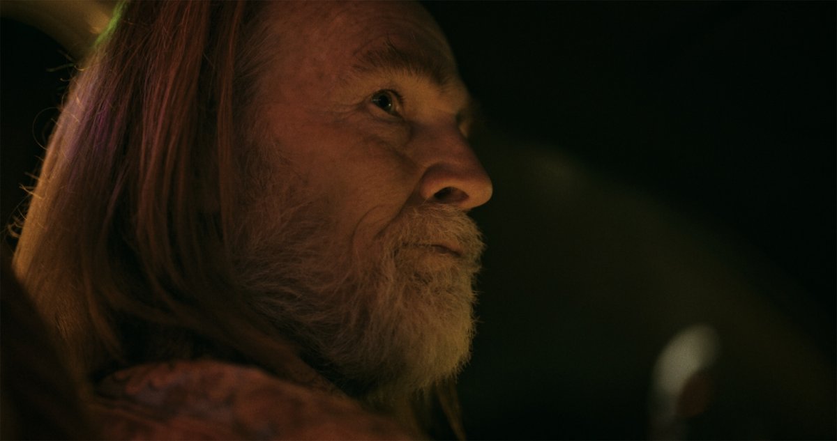 Profile close-up of a long-haired bearded man gazing into darkness, lit by warm and green light