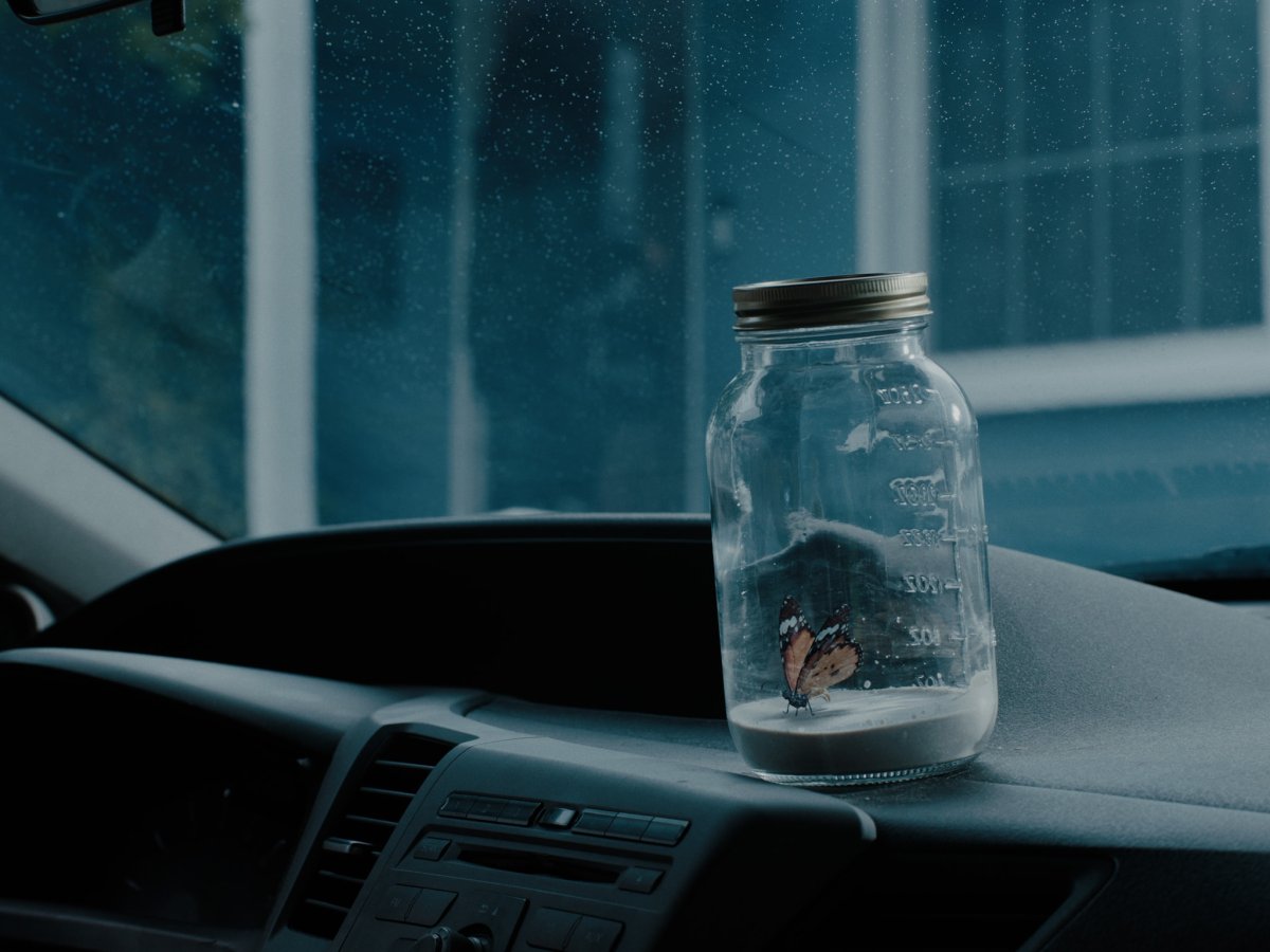 Butterfly trapped in a mason jar sitting on a car dashboard, rain-streaked windshield behind it